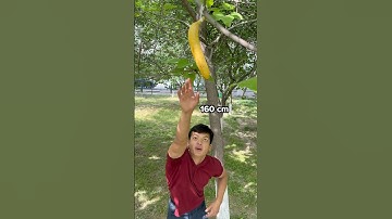 growing tall tutorial 🍌🥕🍊