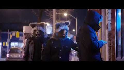 Judge Bitch - Trash Pandas (Official Video)