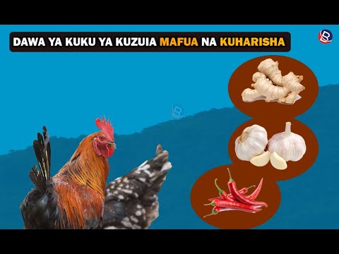 Video: Saladi Ya Kuku Ya Kivietinamu