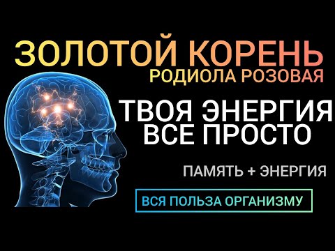 Родиола Розовая L Когда энергия на нуле L Польза и как принимать L Health Benefits Of Rhodiola