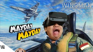 MAYDAY MAYDAY SAYAP KANAN PATAH KENA POHON MAYDAY!!! Project Wingman VR [SUB INDO] ~Jadi JetFighter! screenshot 4