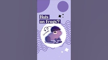 A Cozy Puzzle Game… with Stylish Frogs? 🎩✨