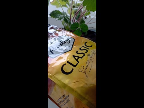 распакуем натуральный кофе Paulig classic, made in China, #shorts, #Paulig распакуем натуральный кофе Paulig classic, made in China, #shorts, #Paulig