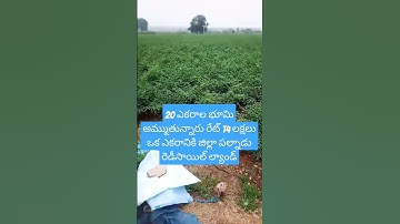 Thumbnail of Land For Sale | #realestate #andhra #landforsale #agriculture #farming #shorts #vairalvideo