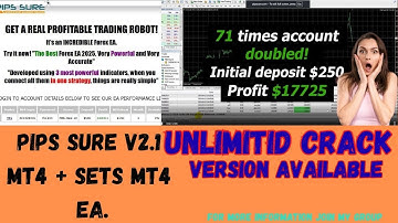 Pips Sure V2 |1 MT4 | Sets | Category | MT4 EA | Build | 1441 |