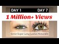 100% effective! एक ऐसा सीरम जिससे पलके वे आईब्रो घने वे लम्बे हो जायेगे | Grow eyelashes in 7 days |