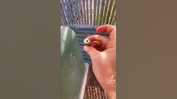 If You Want To Find One Of The 3,000,000 Caches Hidden In The World, Download The Geocaching App!