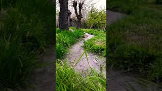 Manzara Snap Su Sesi Doğa Ilkbahar Snap