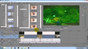 Predator Effect : Tutorial
