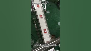 Secondary Bag Packaging Machine Rice Packing Machine Rice Sorting and Packaging Machine