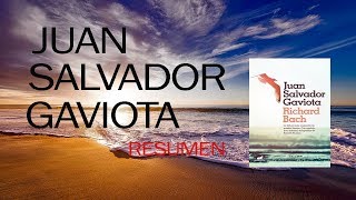 Juan salvador Gaviota RESUMEN