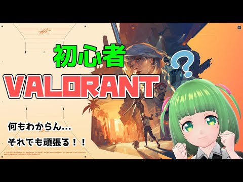 初心者だけどValorantやっていいですか # 1【Valorant】