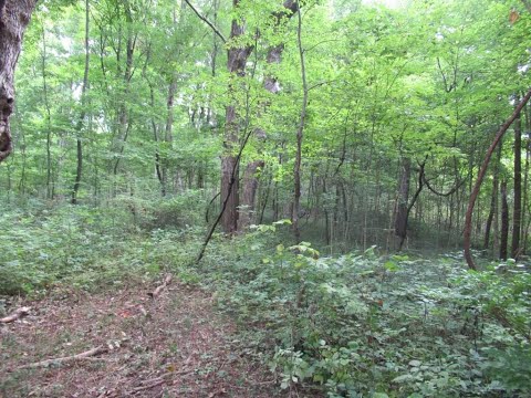 3800 Union Road, Shelbyville, IN home video tour