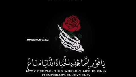 حالات واتس قرآن كريم //بصوت جميل للشيخ خالد الجليل 🖤🌷