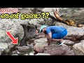 കാട്ടിൽ മീൻ പിടിക്കാൻ കേറിയതാ... പക്ഷെ…| Fishing in Forest