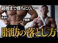 【減量】最後まで落ちにくい下腹部の脂肪・皮余りの落とし方|IFBB PRO寺島遼が回答【後編】