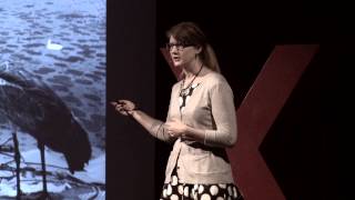 The value of curiosity | Emily Graslie | TEDxSacramentoSalon