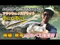 フラッシュJスプリット　ハイスピード・ボイルアクション