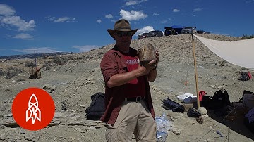 New Tools, Old Bones: Bringing Fossils to Life Through Technology