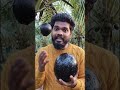 Spotting a rare black coconut from Pollachi, Tamil Nadu! Truly a unique wonder of nature. 🥥🖤