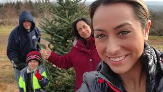 Christmas Tree Hunt 2017