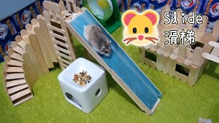 【DIY Guide】Hamster Large Slide :3 大型倉鼠滑梯 兩隻滑鼠盡情在樂園中遊玩吧!