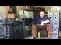 A tour of the packing process for our farm Share csa boxes