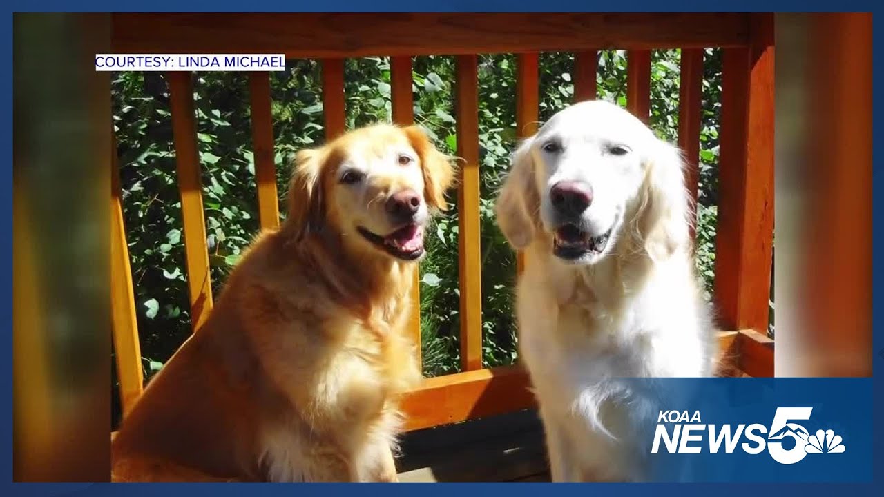 News5's viewer photos from National Pet Day