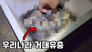 구독자님께 제보받고 갔는데...헉!! 기증해주셔서 너무 감사합니다.