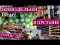 Израиль| Винодельня в пустыне