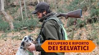 Caccia e cinofilia: recupero e riporto dei selvatici