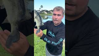 I Caught A Deformed Fish