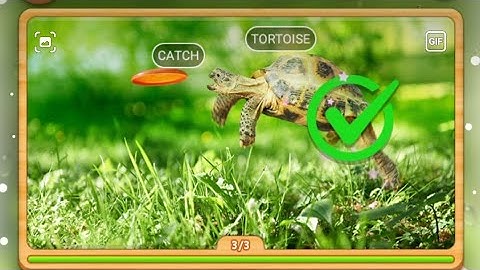 Word Swipe Pic. Level 1-10. My Gaming Town.