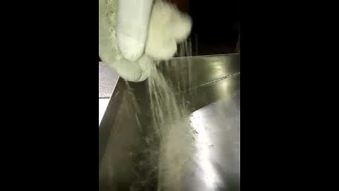 Double Roll Crusher1