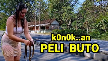 Batu Manuk Kacuk Buto seputaran hutan iclik hilang bikin warga kampung mlongo dan menyesal.