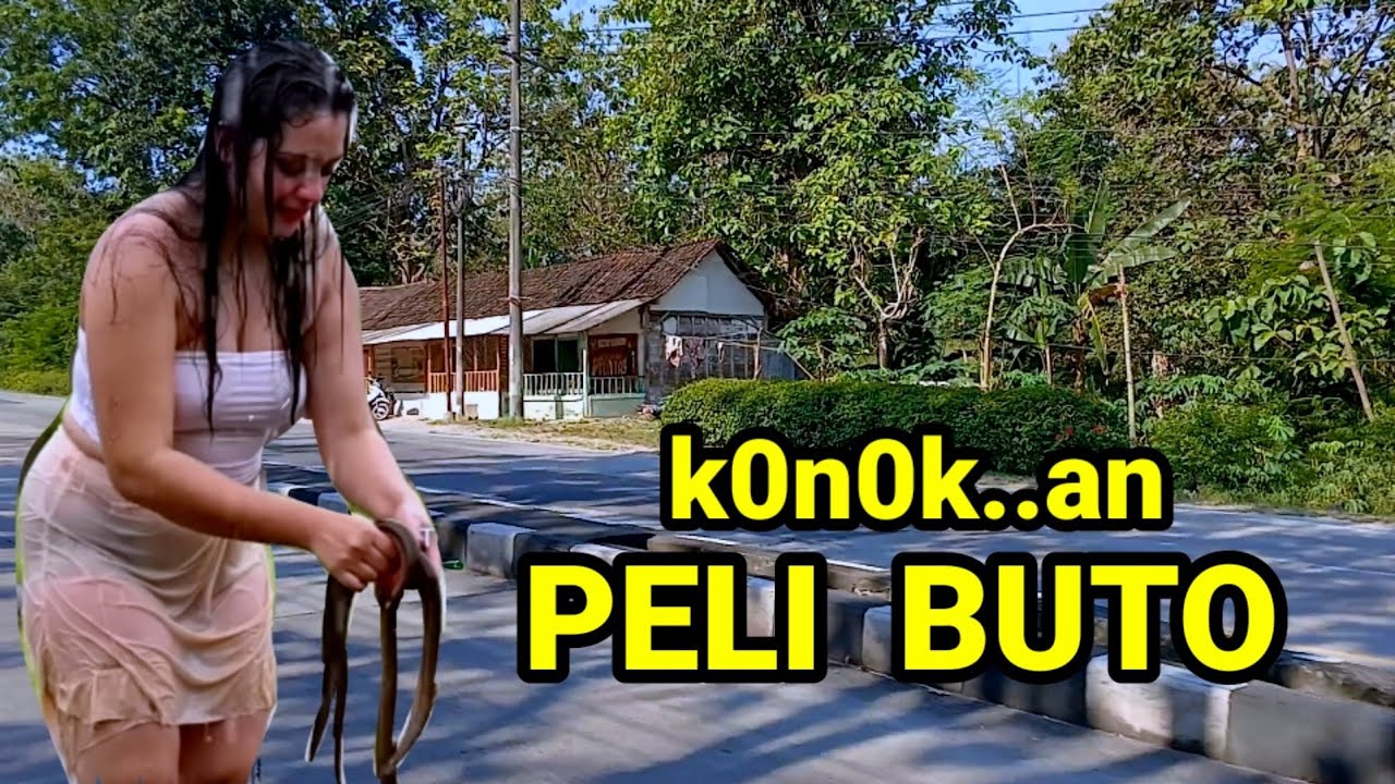 Batu Manuk Kacuk Buto seputaran hutan iclik hilang bikin warga kampung mlongo dan menyesal.