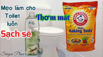 Cách làm cho Toilet nhà Bạn không bao giờ dơ hôi luôn sạch và thơm - @SaigonPlace