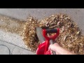 Leaf blower/vacuum on batteries Leaf blower/vacuum on batteries