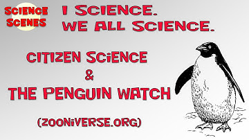 Science Scenes - Citizen Science, Penguin Watch