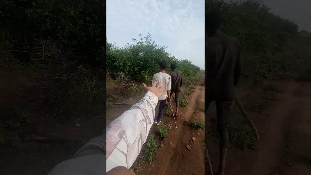 વાલી...તું તો રુપનો😍કટકો👀કેવાય જોજે🥀કોઇની નજરો લાગી ના જાય...#newgujarati #shortsvideo#gujarati