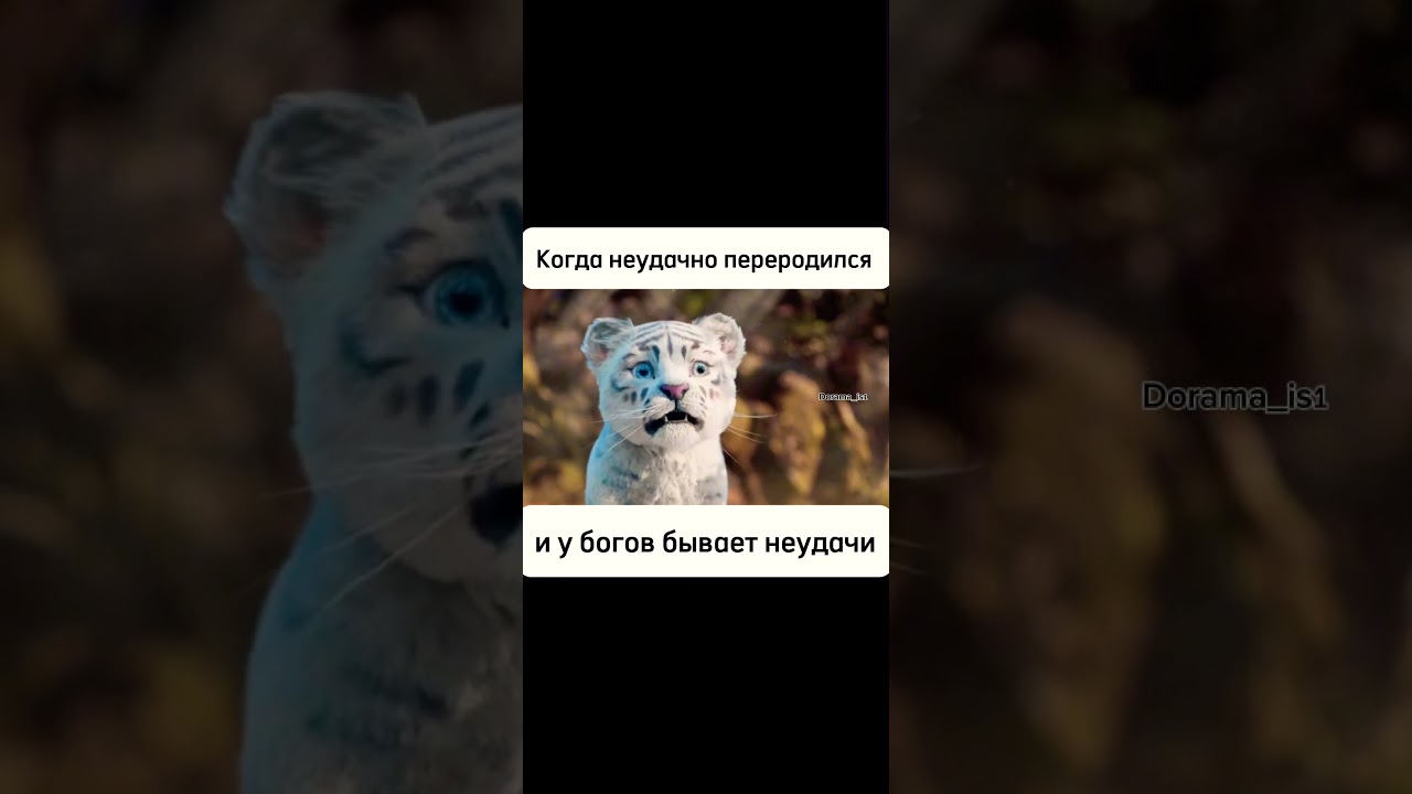 #дорама #дорамы #dorama #семьжизнейдосчастья #толькорадилюбви #роковаялюбовь #долгаяпеснь #кдорама