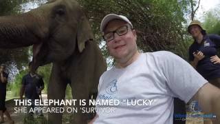Wheelchair User Meets Lucky the Elephant at Phnom Tamao Rescue Center, Cambodia by Wheelchair Travel 371 views 7 years ago 3 minutes, 23 seconds