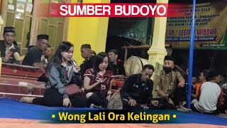 WONG LALI ORA KELINGAN | Seni Gajah Sumber Budoyo Candi Mlarak | 2020