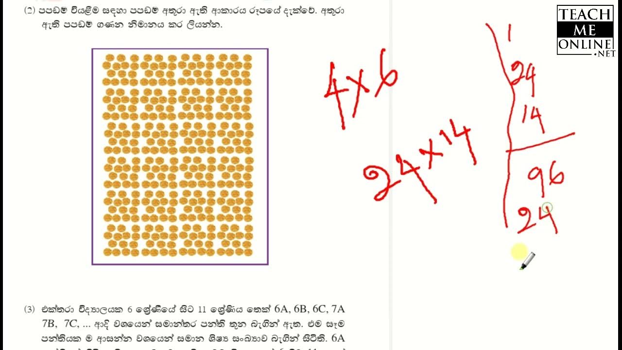 grade-6-lesson-6-maths-sinhala-medium-youtube