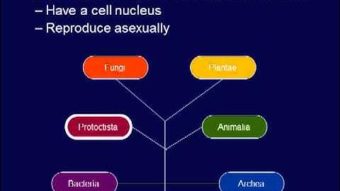 GS108 Week 9 Video 1