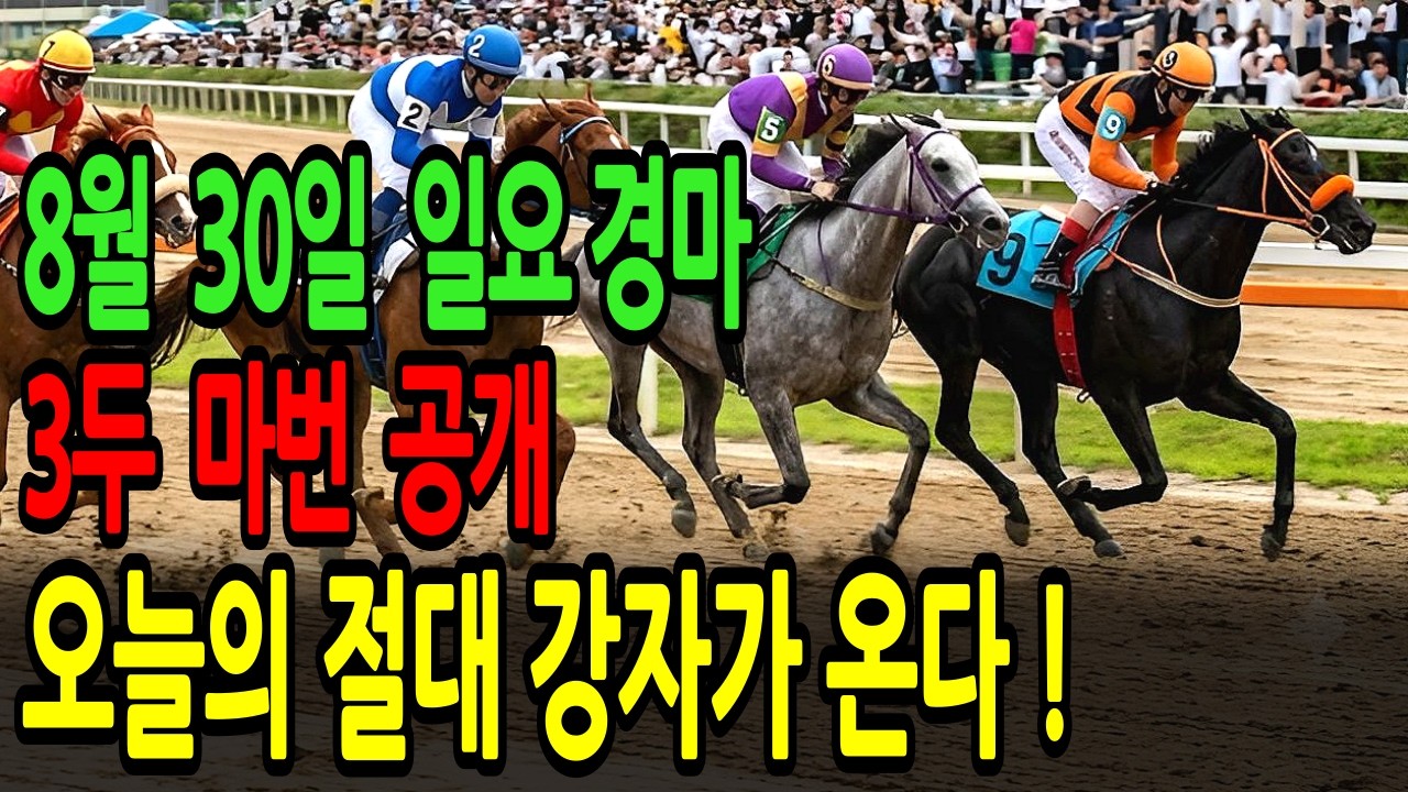 8월 30일 일요일 경마~ 오늘의 절대 강자가 온다! | 이번 주말 대박 복병 공개ㅣ승전경마 전문가의 이변 포착 l 경마 l 경마예상 l 코리아레이스 l 검빛경마 ㅣ경마정보
