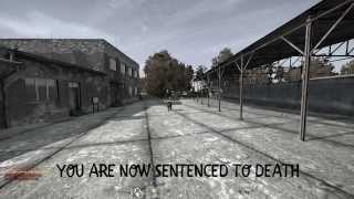DayZ Execution