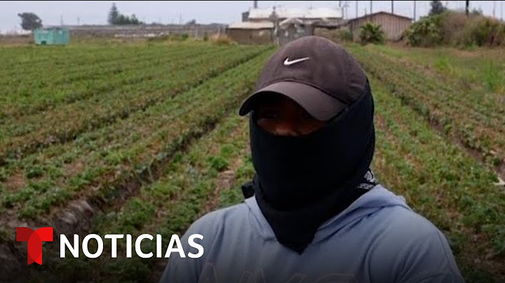 El temor a las redadas: “Te pueden llevar y nos vamos a quedar aquí sin ti” | Noticias Telemundo