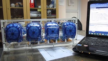 Automated Western Blot Liquid Handling System