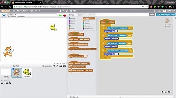 Scratch Basics III - Collisions